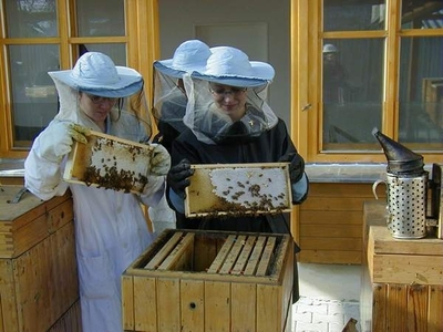 výuka na včelíně